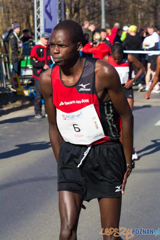 5 Poznań Półmaraton Foto: lepszyPOZNAN.pl / Piotr Rychter 5 Poznań Półmaraton Foto: lepszyPOZNAN.pl / Piotr Rychter