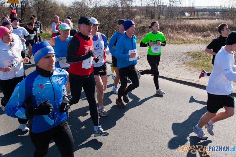 5 Poznań Półmaraton Foto: lepszyPOZNAN.pl / Piotr Rychter 5 Poznań Półmaraton Foto: lepszyPOZNAN.pl / Piotr Rychter