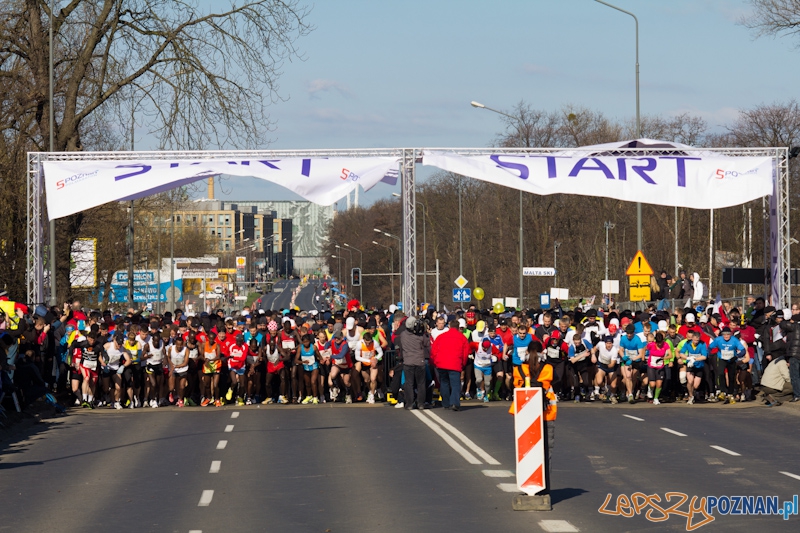 5 Poznań Półmaraton Foto: lepszyPOZNAN.pl / Piotr Rychter 5 Poznań Półmaraton Foto: lepszyPOZNAN.pl / Piotr Rychter