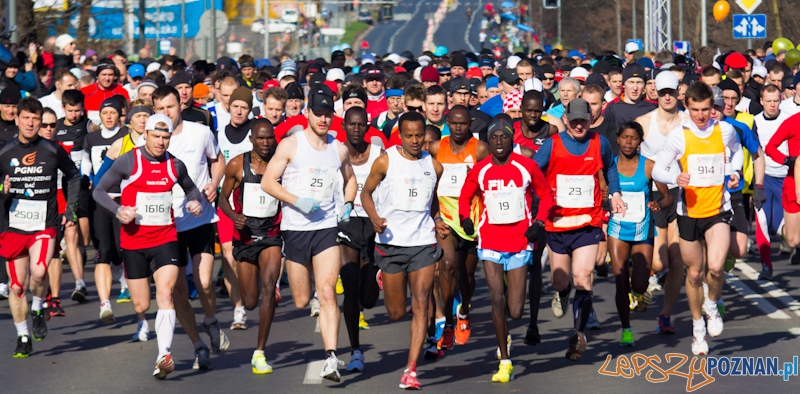 5 Poznań Półmaraton Foto: lepszyPOZNAN.pl / Piotr Rychter 5 Poznań Półmaraton Foto: lepszyPOZNAN.pl / Piotr Rychter