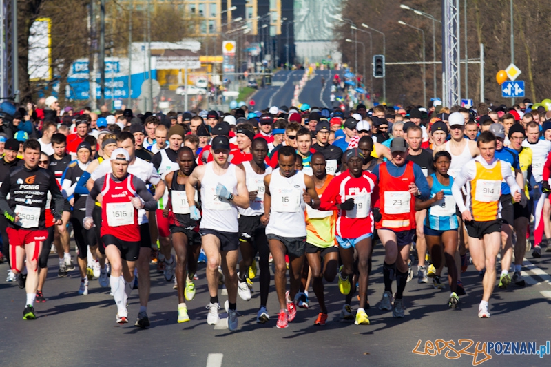5 Poznań Półmaraton Foto: lepszyPOZNAN.pl / Piotr Rychter 5 Poznań Półmaraton Foto: lepszyPOZNAN.pl / Piotr Rychter