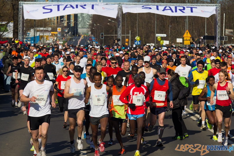 5 Poznań Półmaraton Foto: lepszyPOZNAN.pl / Piotr Rychter 5 Poznań Półmaraton Foto: lepszyPOZNAN.pl / Piotr Rychter