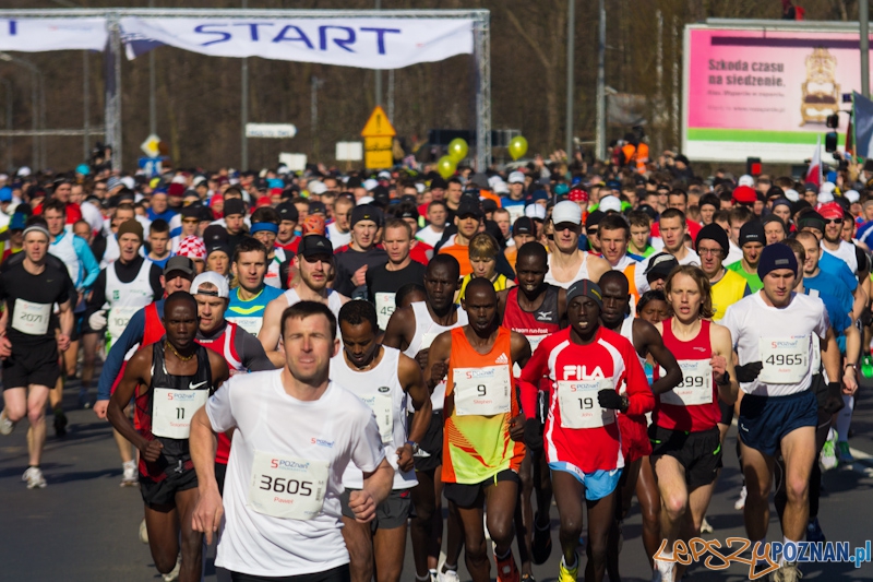 5 Poznań Półmaraton Foto: lepszyPOZNAN.pl / Piotr Rychter 5 Poznań Półmaraton Foto: lepszyPOZNAN.pl / Piotr Rychter