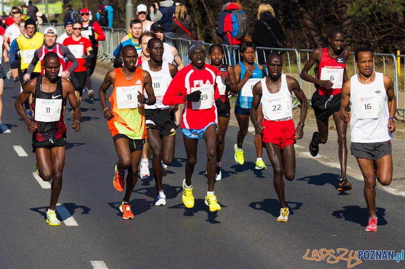 5 Poznań Półmaraton Foto: lepszyPOZNAN.pl / Piotr Rychter 5 Poznań Półmaraton Foto: lepszyPOZNAN.pl / Piotr Rychter