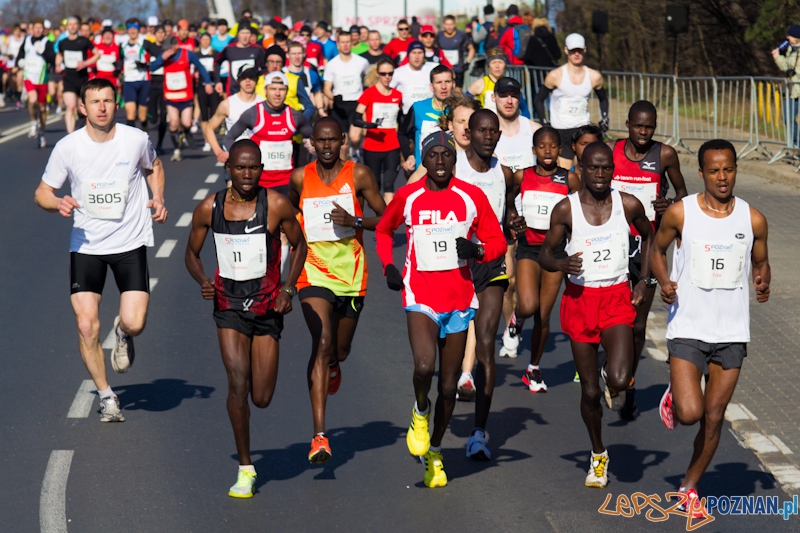 5 Poznań Półmaraton Foto: lepszyPOZNAN.pl / Piotr Rychter 5 Poznań Półmaraton Foto: lepszyPOZNAN.pl / Piotr Rychter