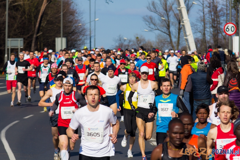 5 Poznań Półmaraton Foto: lepszyPOZNAN.pl / Piotr Rychter 5 Poznań Półmaraton Foto: lepszyPOZNAN.pl / Piotr Rychter