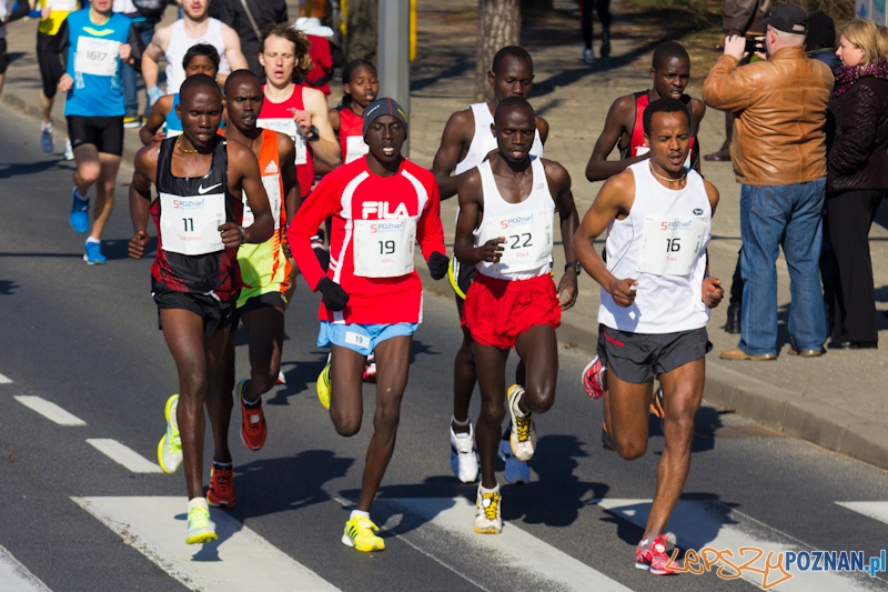 5 Poznań Półmaraton Foto: lepszyPOZNAN.pl / Piotr Rychter 5 Poznań Półmaraton Foto: lepszyPOZNAN.pl / Piotr Rychter