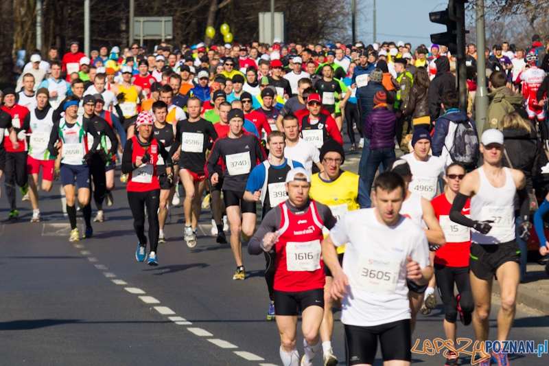5 Poznań Półmaraton Foto: lepszyPOZNAN.pl / Piotr Rychter 5 Poznań Półmaraton Foto: lepszyPOZNAN.pl / Piotr Rychter