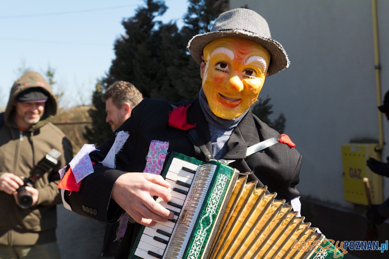 Żandary na Ławicy Foto: lepszyPOZNAN.pl / Piotr Rychter Żandary na Ławicy Foto: lepszyPOZNAN.pl / Piotr Rychter