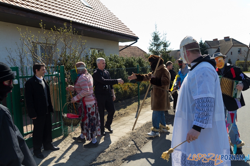 Żandary na Ławicy Foto: lepszyPOZNAN.pl / Piotr Rychter Żandary na Ławicy Foto: lepszyPOZNAN.pl / Piotr Rychter
