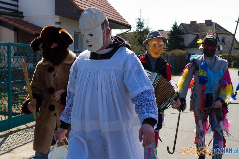 Żandary na Ławicy Foto: lepszyPOZNAN.pl / Piotr Rychter Żandary na Ławicy Foto: lepszyPOZNAN.pl / Piotr Rychter