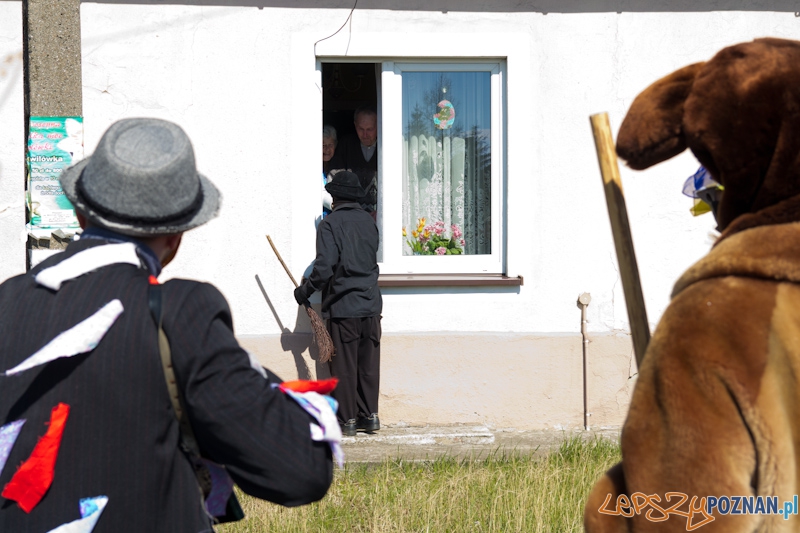 Żandary na Ławicy Foto: lepszyPOZNAN.pl / Piotr Rychter Żandary na Ławicy Foto: lepszyPOZNAN.pl / Piotr Rychter