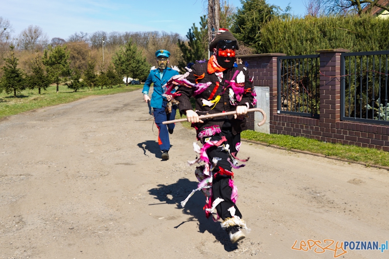 Żandary na Ławicy Foto: lepszyPOZNAN.pl / Piotr Rychter Żandary na Ławicy Foto: lepszyPOZNAN.pl / Piotr Rychter