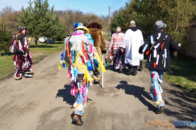 Żandary na Ławicy Foto: lepszyPOZNAN.pl / Piotr Rychter Żandary na Ławicy Foto: lepszyPOZNAN.pl / Piotr Rychter