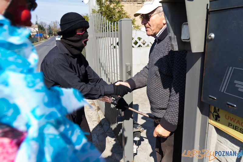 Żandary na Ławicy Foto: lepszyPOZNAN.pl / Piotr Rychter Żandary na Ławicy Foto: lepszyPOZNAN.pl / Piotr Rychter