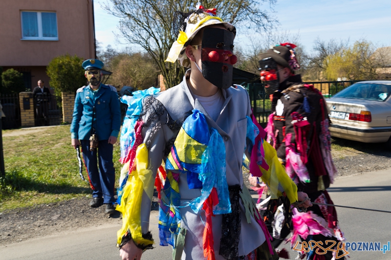 Żandary na Ławicy Foto: lepszyPOZNAN.pl / Piotr Rychter Żandary na Ławicy Foto: lepszyPOZNAN.pl / Piotr Rychter