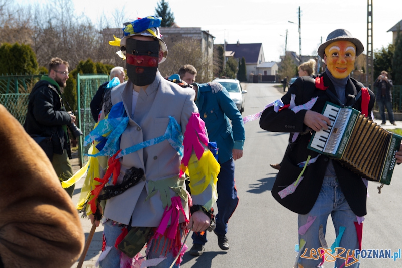 Żandary na Ławicy Foto: lepszyPOZNAN.pl / Piotr Rychter Żandary na Ławicy Foto: lepszyPOZNAN.pl / Piotr Rychter