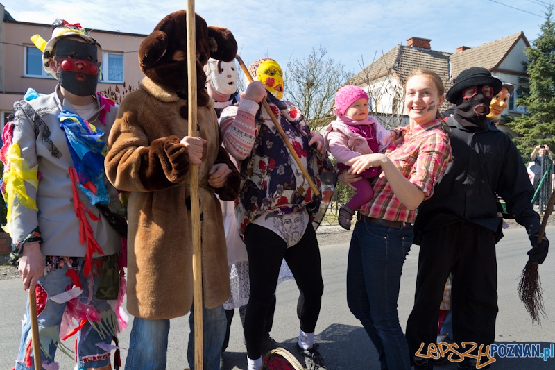 Żandary na Ławicy Foto: lepszyPOZNAN.pl / Piotr Rychter Żandary na Ławicy Foto: lepszyPOZNAN.pl / Piotr Rychter