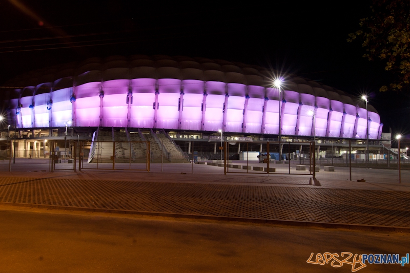 Dzień Flagi - Stadion Miejski - Poznań 2.05.2012 r. Foto: LepszyPOZNAN.pl / Paweł Rychter Dzień Flagi - Stadion Miejski - Poznań 2.05.2012 r. Foto: LepszyPOZNAN.pl / Paweł Rychter