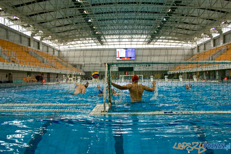 Alstal Waterpolo Poznań - WTS Bytom - Poznań 13.05.2012 r. Foto: Ewelina Gutowska Alstal Waterpolo Poznań - WTS Bytom - Poznań 13.05.2012 r. Foto: Ewelina Gutowska