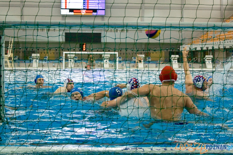 Alstal Waterpolo Poznań - WTS Bytom - Poznań 13.05.2012 r. Foto: Ewelina Gutowska Alstal Waterpolo Poznań - WTS Bytom - Poznań 13.05.2012 r. Foto: Ewelina Gutowska