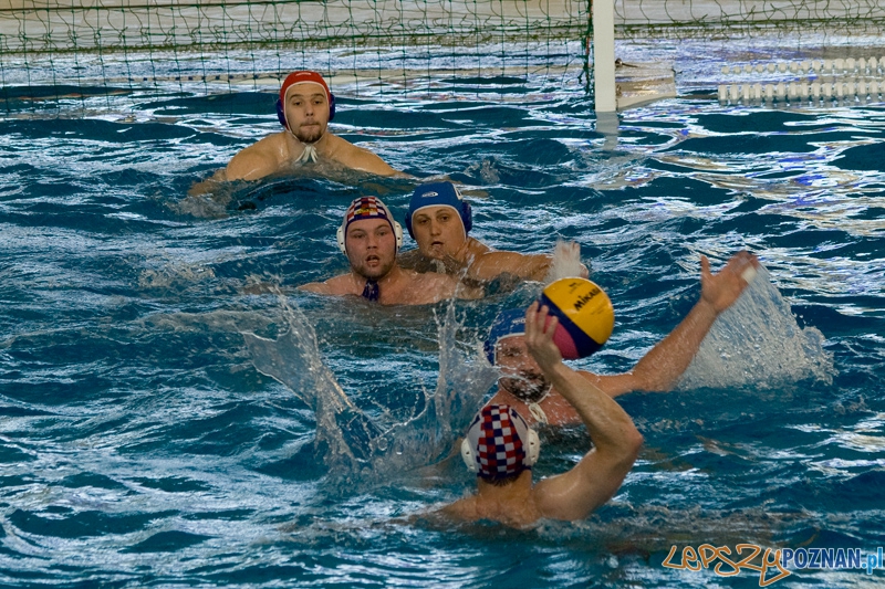 Alstal Waterpolo Poznań - WTS Bytom - Poznań 12.05.2012 r. Foto: Ewelina Gutowska Alstal Waterpolo Poznań - WTS Bytom - Poznań 12.05.2012 r. Foto: Ewelina Gutowska