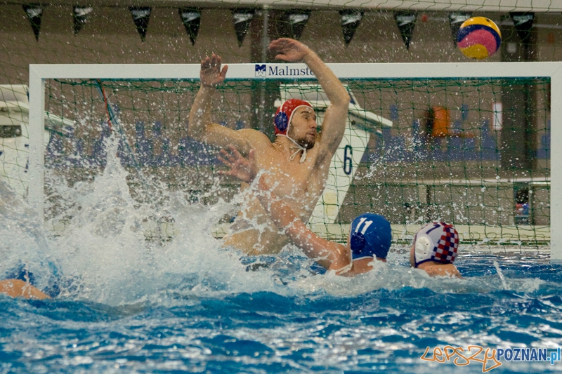 Alstal Waterpolo Poznań - WTS Bytom - Poznań 13.05.2012 r. Foto: lepszyPOZNAN.pl / Ewelina Gutowska Alstal Waterpolo Poznań - WTS Bytom - Poznań 13.05.2012 r. Foto: lepszyPOZNAN.pl / Ewelina Gutowska