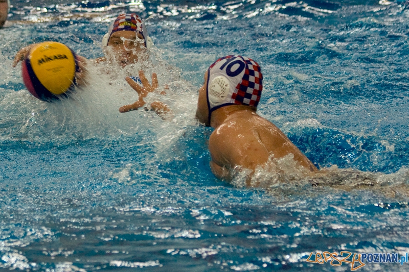 Alstal Waterpolo Poznań - WTS Bytom - Poznań 13.05.2012 r. Foto: Ewelina Gutowska Alstal Waterpolo Poznań - WTS Bytom - Poznań 13.05.2012 r. Foto: Ewelina Gutowska