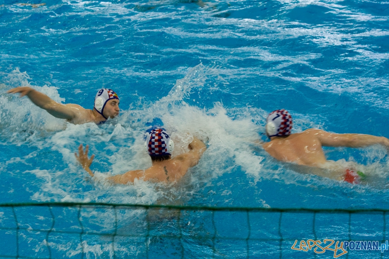 Alstal Waterpolo Poznań - WTS Bytom - Poznań 12.05.2012 r. Foto: Ewelina Gutowska Alstal Waterpolo Poznań - WTS Bytom - Poznań 12.05.2012 r. Foto: Ewelina Gutowska