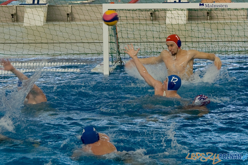 Alstal Waterpolo Poznań - WTS Bytom - Poznań 12.05.2012 r. Foto: Ewelina Gutowska Alstal Waterpolo Poznań - WTS Bytom - Poznań 12.05.2012 r. Foto: Ewelina Gutowska