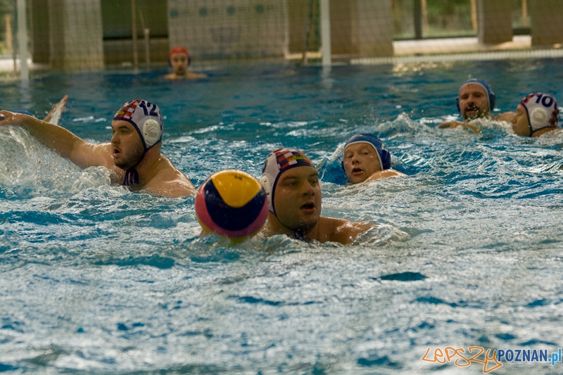 Alstal Waterpolo Poznań - WTS Bytom - Poznań 12.05.2012 r. Foto: Ewelina Gutowska Alstal Waterpolo Poznań - WTS Bytom - Poznań 12.05.2012 r. Foto: Ewelina Gutowska