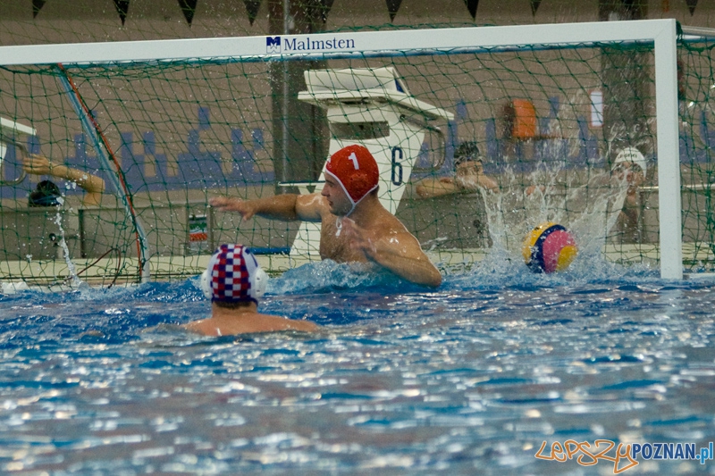 Alstal Waterpolo Poznań - WTS Bytom - Poznań 13.05.2012 r. Foto: Ewelina Gutowska Alstal Waterpolo Poznań - WTS Bytom - Poznań 13.05.2012 r. Foto: Ewelina Gutowska