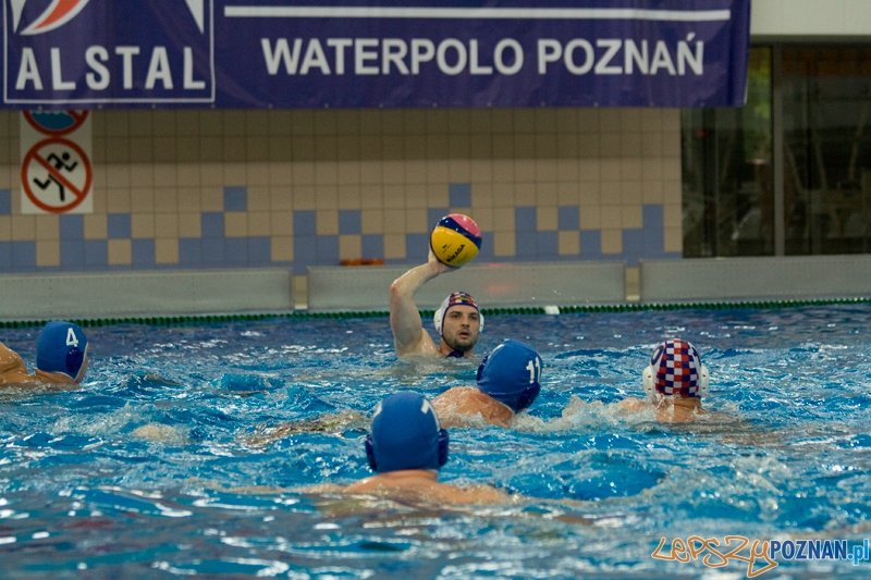 Alstal Waterpolo Poznań - WTS Bytom - Poznań 13.05.2012 r. Foto: Ewelina Gutowska Alstal Waterpolo Poznań - WTS Bytom - Poznań 13.05.2012 r. Foto: Ewelina Gutowska