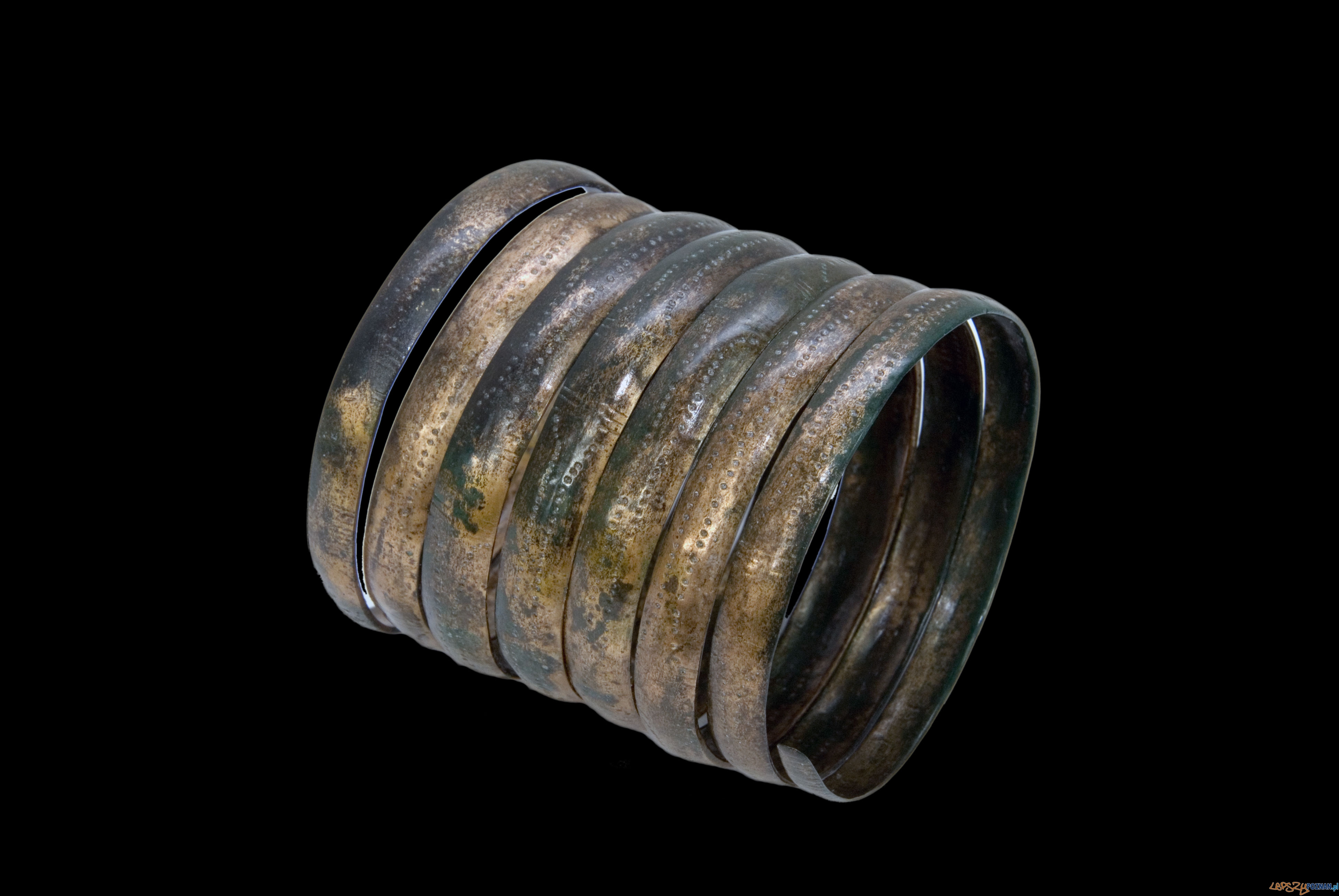 Skarby znalezione w lesie Foto: Piotr Krakowski Skarby znalezione w lesie Foto: Piotr Krakowski