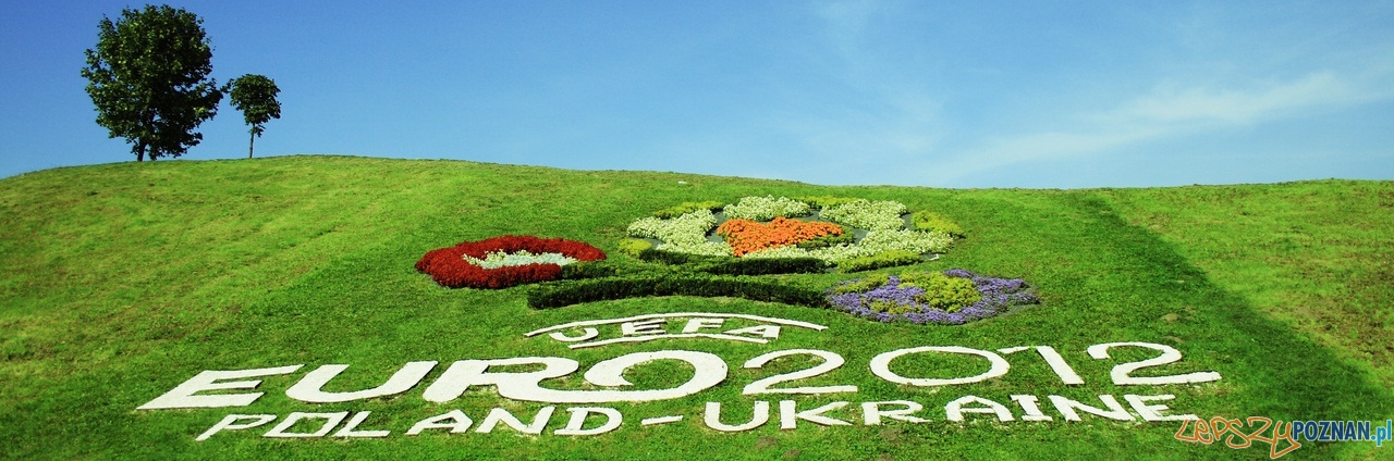Kwiatowe Euro 2012 na Malcie Foto: FotoPortal miasta Poznania Kwiatowe Euro 2012 na Malcie Foto: FotoPortal miasta Poznania