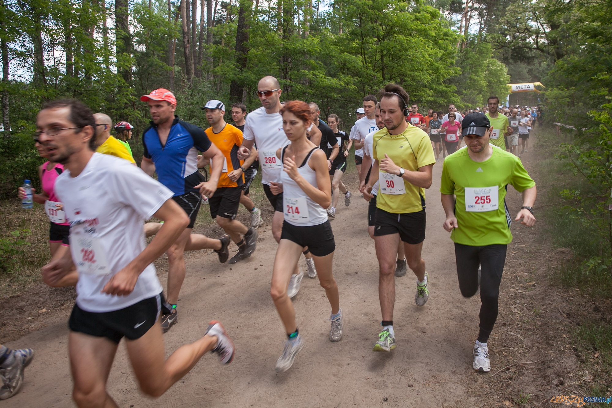Na trasie Biegu o Koronę Dąbrówki Foto: Maciej Nowaczyk Na trasie Biegu o Koronę Dąbrówki Foto: Maciej Nowaczyk