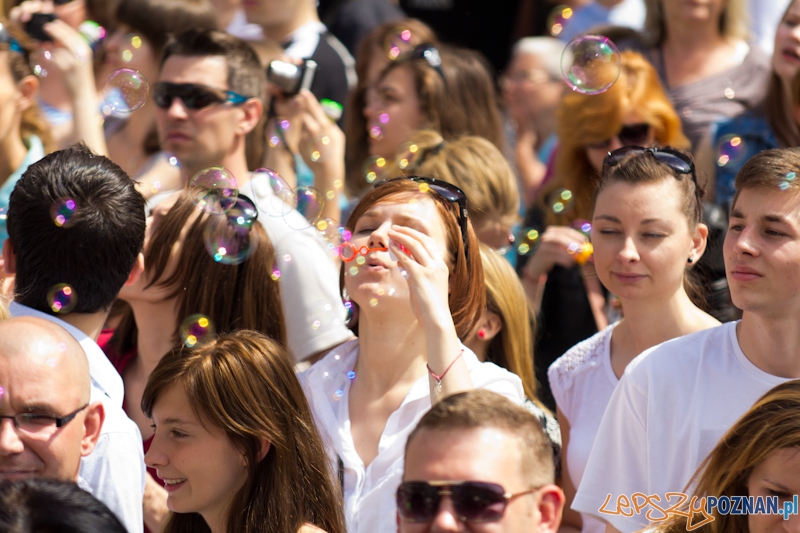 Bańki Mydlane Stary Rynek Foto: lepszyPOZNAN.pl / Piotr Rychter Bańki Mydlane Stary Rynek Foto: lepszyPOZNAN.pl / Piotr Rychter