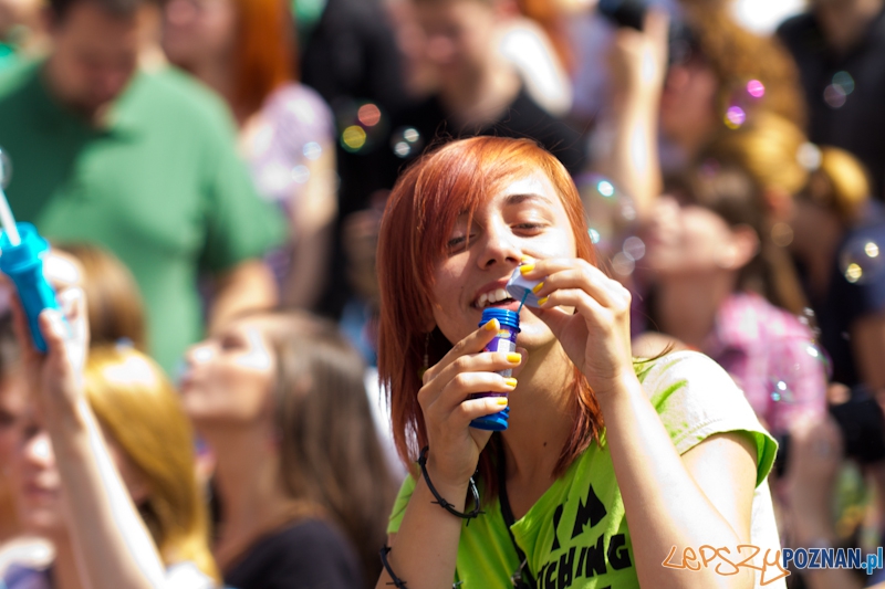 Bańki Mydlane Stary Rynek Foto: lepszyPOZNAN.pl / Piotr Rychter Bańki Mydlane Stary Rynek Foto: lepszyPOZNAN.pl / Piotr Rychter