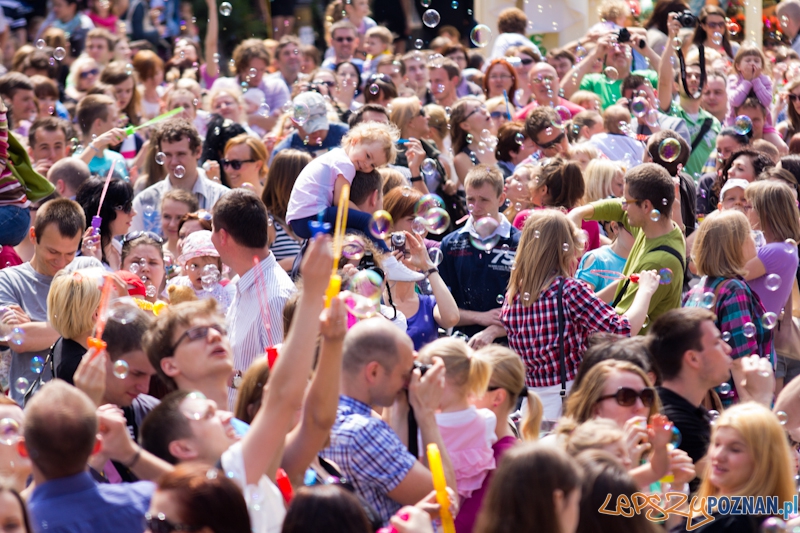 Bańki Mydlane Stary Rynek Foto: lepszyPOZNAN.pl / Piotr Rychter Bańki Mydlane Stary Rynek Foto: lepszyPOZNAN.pl / Piotr Rychter
