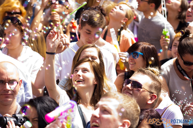 Bańki Mydlane Stary Rynek Foto: lepszyPOZNAN.pl / Piotr Rychter Bańki Mydlane Stary Rynek Foto: lepszyPOZNAN.pl / Piotr Rychter