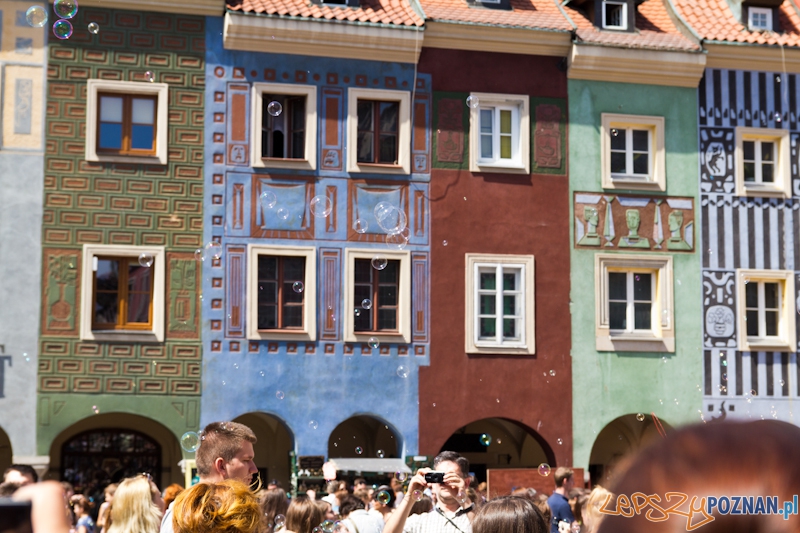 Bańki Mydlane Stary Rynek Foto: lepszyPOZNAN.pl / Piotr Rychter Bańki Mydlane Stary Rynek Foto: lepszyPOZNAN.pl / Piotr Rychter