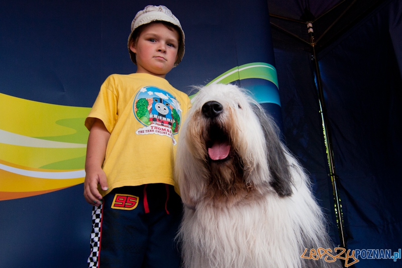 Dworzec PKP na Dębcu malowany kolorami Duluxa - Poznań 16.06.2012 r. Foto: LepszyPOZNAN.pl / Paweł Rychter Dworzec PKP na Dębcu malowany kolorami Duluxa - Poznań 16.06.2012 r. Foto: LepszyPOZNAN.pl / Paweł Rychter