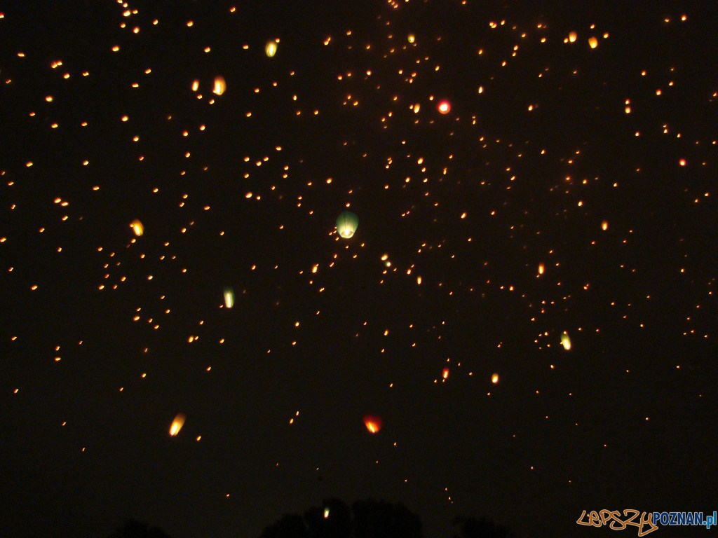 Noc Kupały 2012 Foto: lepszyPOZNAN.pl / ag Noc Kupały 2012 Foto: lepszyPOZNAN.pl / ag