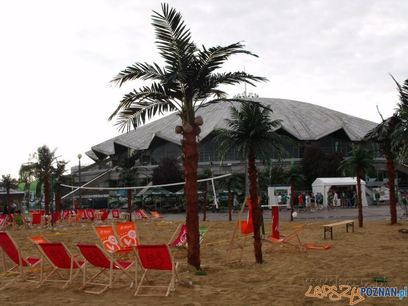 Irlandczycy pod Areną Foto: lazarz.pl Irlandczycy pod Areną Foto: lazarz.pl