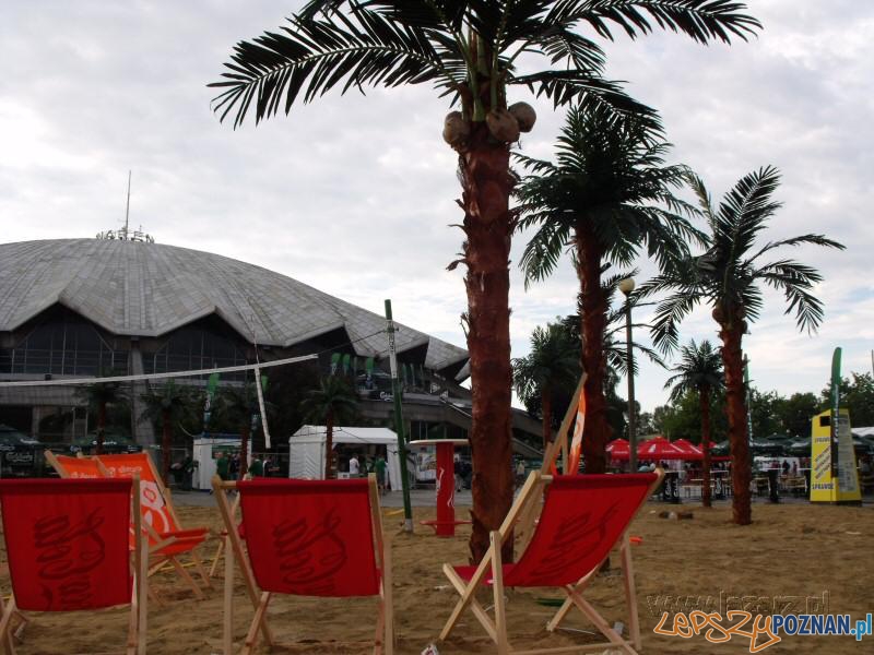 Irlandczycy pod Areną Foto: lazarz.pl Irlandczycy pod Areną Foto: lazarz.pl