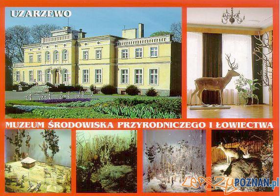 Muzeum w Uzarzewie Foto: Muzeum w Uzarzewie Foto: