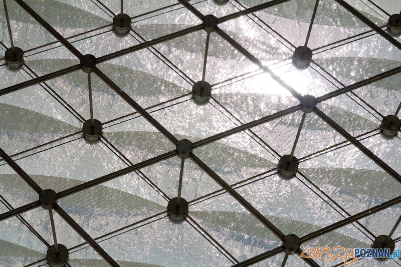 Uroczyste włączenie Fontanny Wolności Foto: lepszyPOZNAN.pl / Piotr Rychter Uroczyste włączenie Fontanny Wolności Foto: lepszyPOZNAN.pl / Piotr Rychter