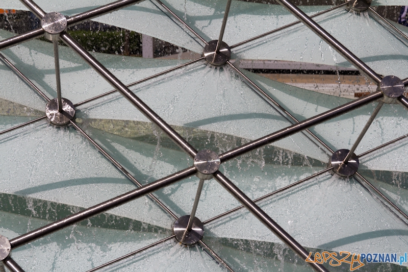 Uroczyste włączenie Fontanny Wolności Foto: lepszyPOZNAN.pl / Piotr Rychter Uroczyste włączenie Fontanny Wolności Foto: lepszyPOZNAN.pl / Piotr Rychter