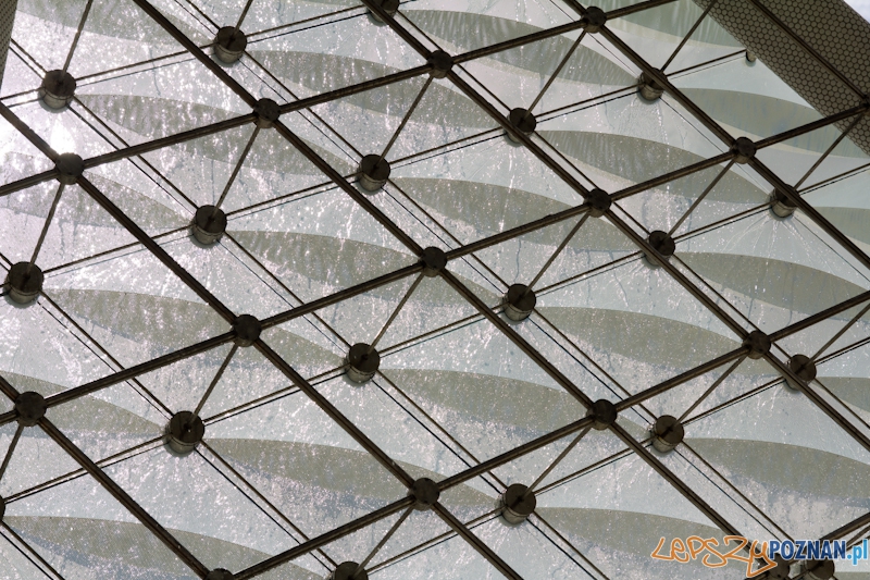 Uroczyste włączenie Fontanny Wolności Foto: lepszyPOZNAN.pl / Piotr Rychter Uroczyste włączenie Fontanny Wolności Foto: lepszyPOZNAN.pl / Piotr Rychter