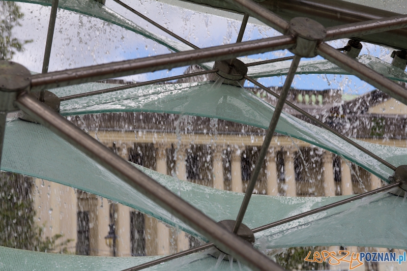 Uroczyste włączenie Fontanny Wolności Foto: lepszyPOZNAN.pl / Piotr Rychter Uroczyste włączenie Fontanny Wolności Foto: lepszyPOZNAN.pl / Piotr Rychter